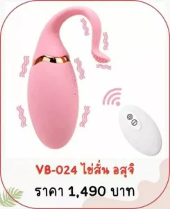 vibrator ไข่สั่น VB-024